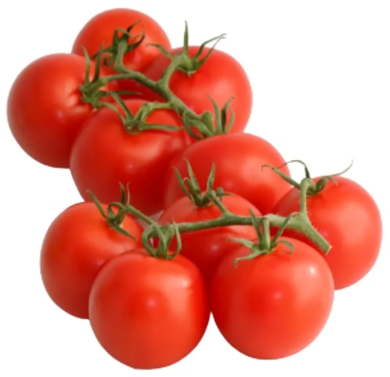 tomatoes